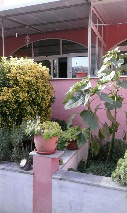Apartments Ana Buratovic Stari Grad  Zewnętrze zdjęcie